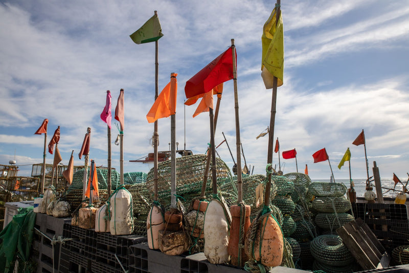 Provincetown, Massachusetts visual study 03
