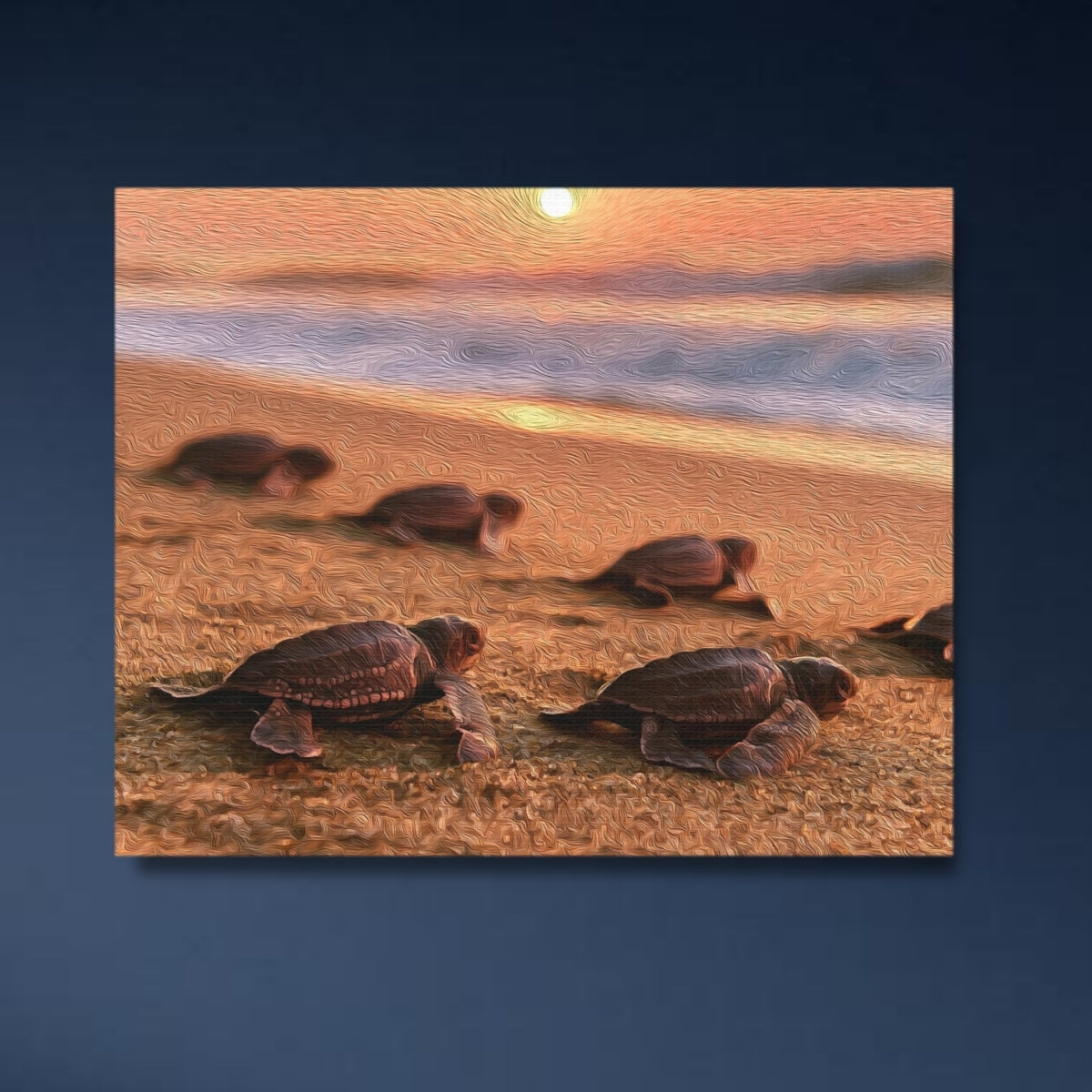 Sea Turtle Hatchlings Beach Release — Puerto Escondido, Mexico, study 4