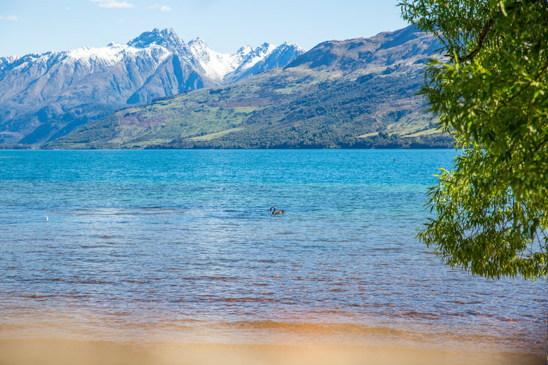 Queenstown, New Zealand visual study 03