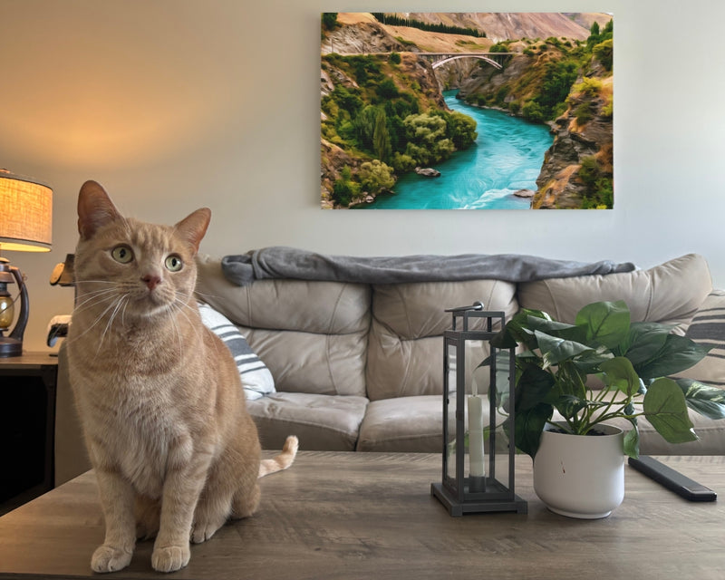 Kawarau River Canyon Bridge — Queenstown, New Zealand, view 2