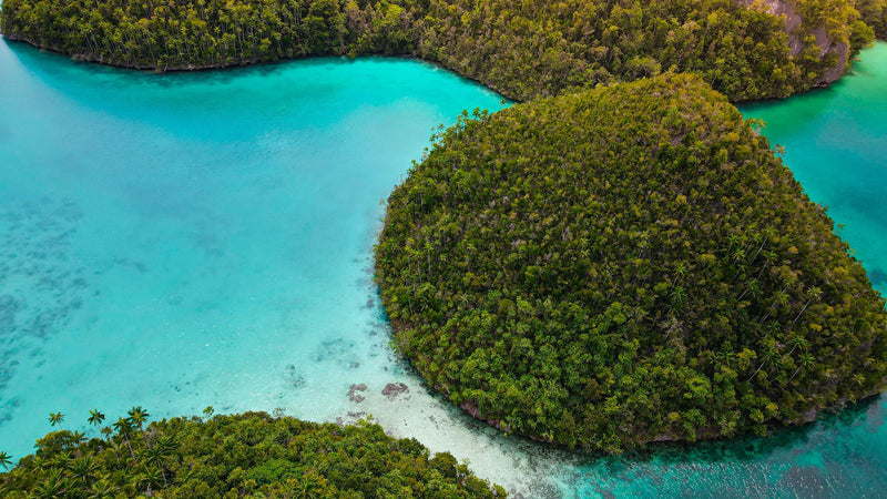 Raja Ampat, Indonesia visual study 02