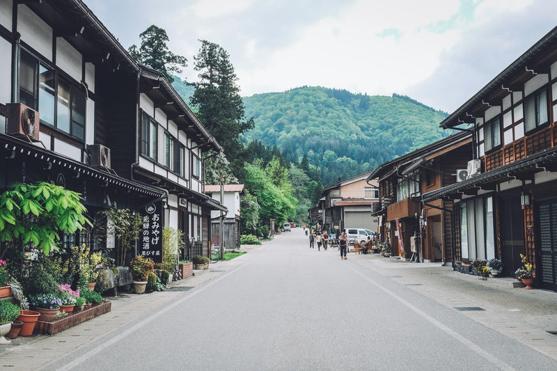Shirakawa-go, Japan visual study 01