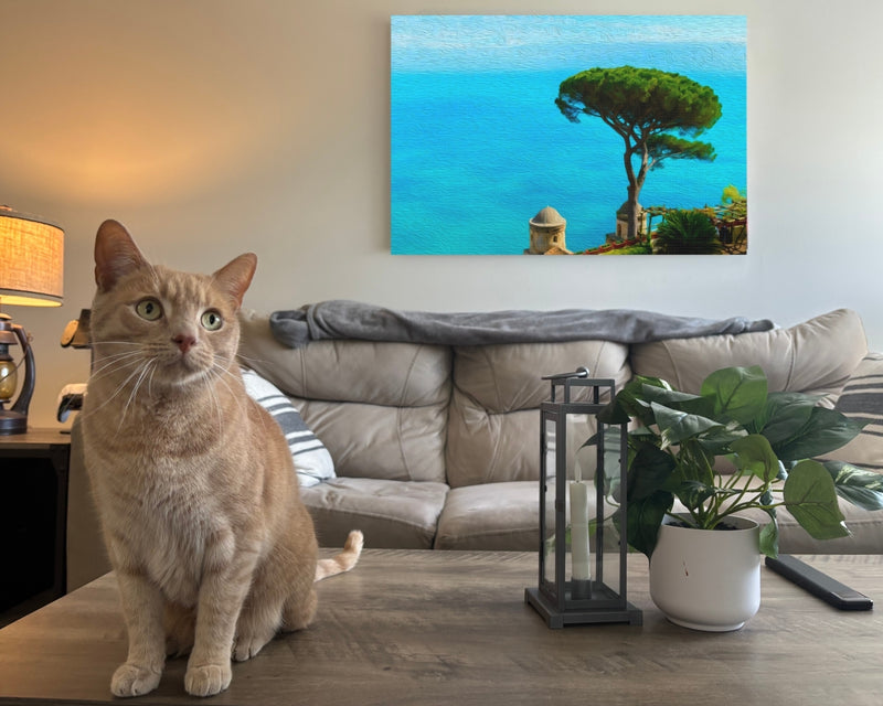 Villa Rufolo Terrace & Umbrella Pine — Ravello, Italy, view 2