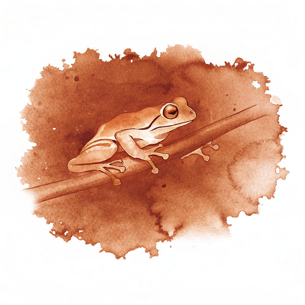Monteverde watercolor