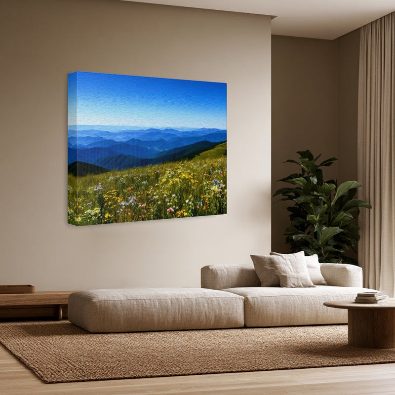 Blue Ridge Wildflower Meadows — Shenandoah National Park, Virginia, view 3