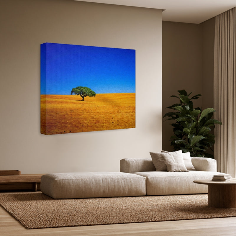 Golden Plains Lone Tree — Alentejo, Portugal, view 3