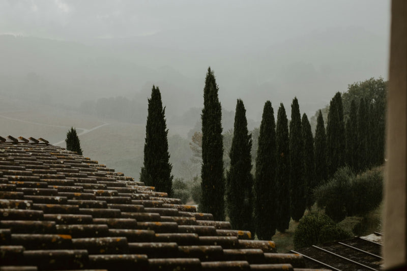 San Gimignano, Italy study No. 03
