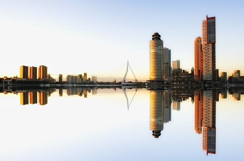 Rotterdam, Netherlands study No. 01