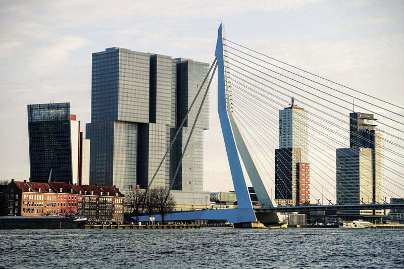 Rotterdam, Netherlands study No. 02