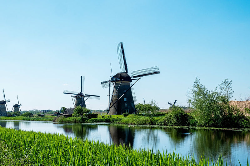 Rotterdam, Netherlands study No. 03