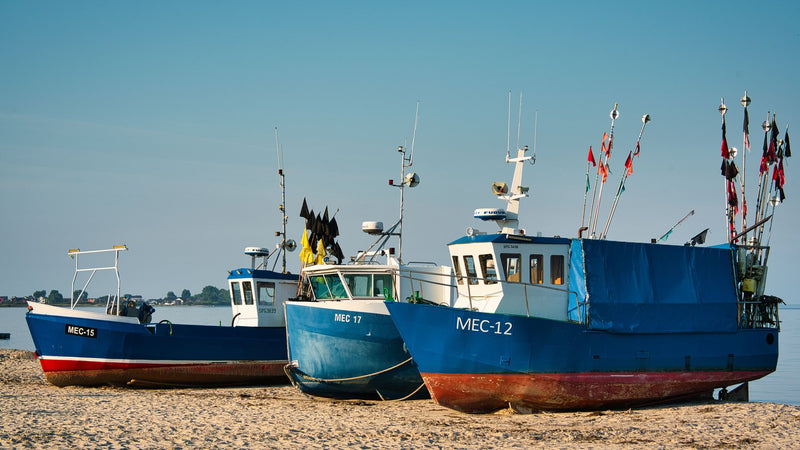 Rügen Island, Germany study No. 03