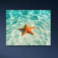 Starfish on Sandy Seafloor — study 4 thumbnail