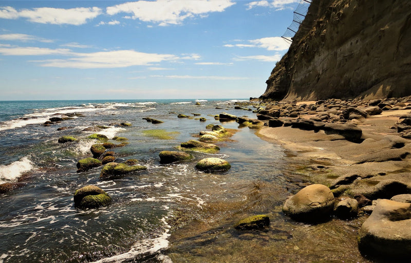 San Diego, California study No. 02