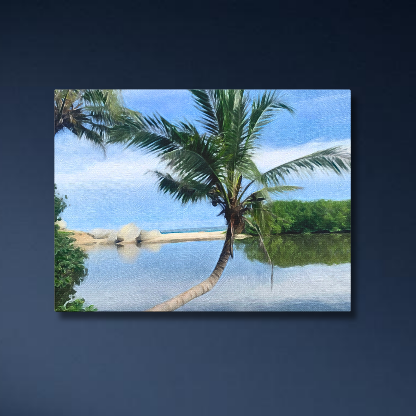 Tayrona National Park, Colombia Study No. 4