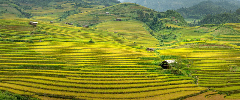 Sapa, Vietnam visual study 01