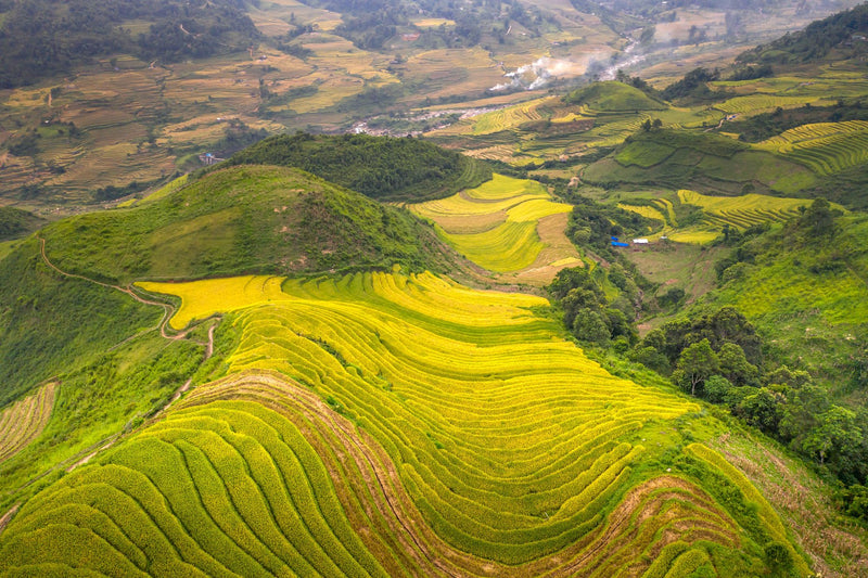 Sapa, Vietnam visual study 03