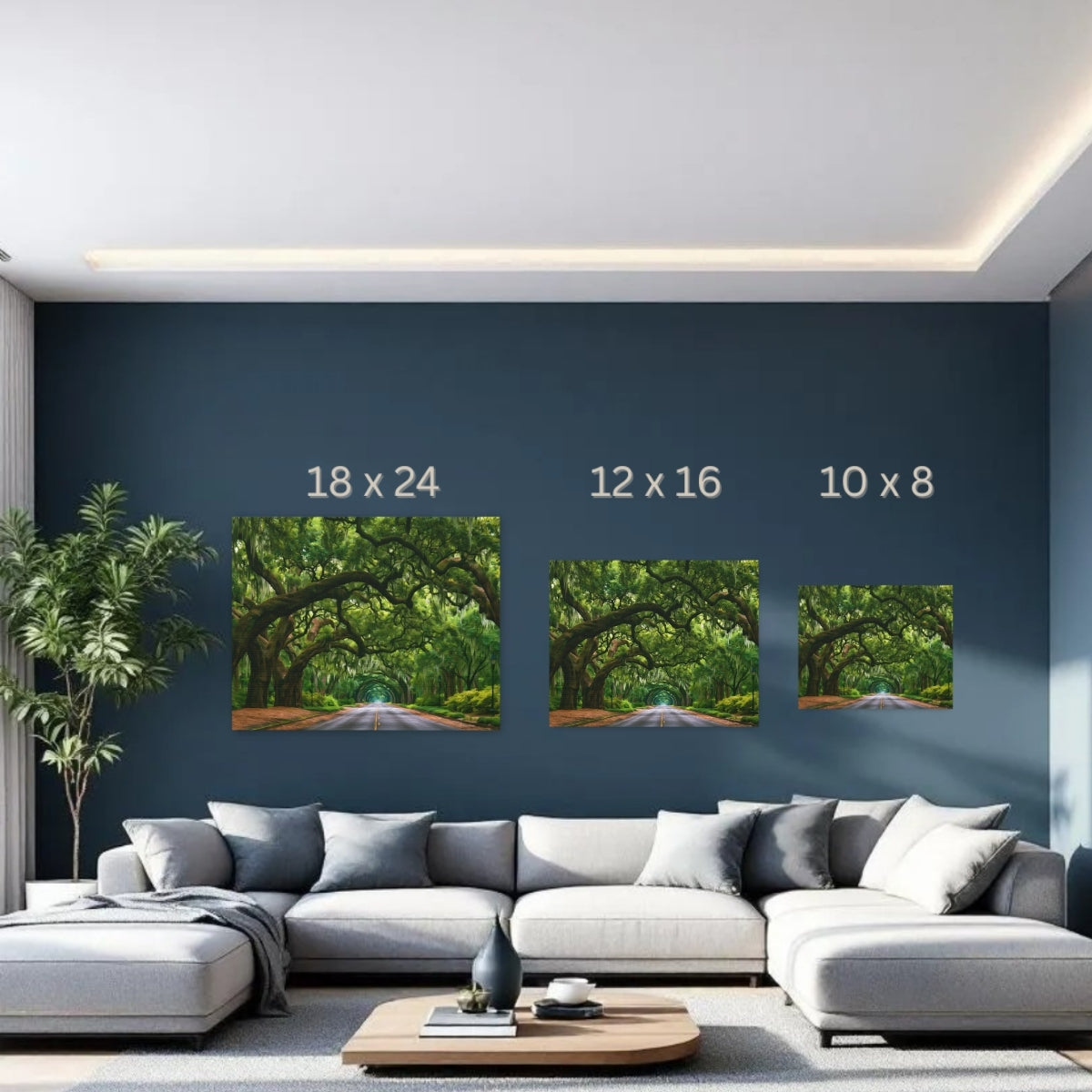 Savannah, Georgia | Wormsloe Historic Site Oaks | Original Series Gallery Canvas detail