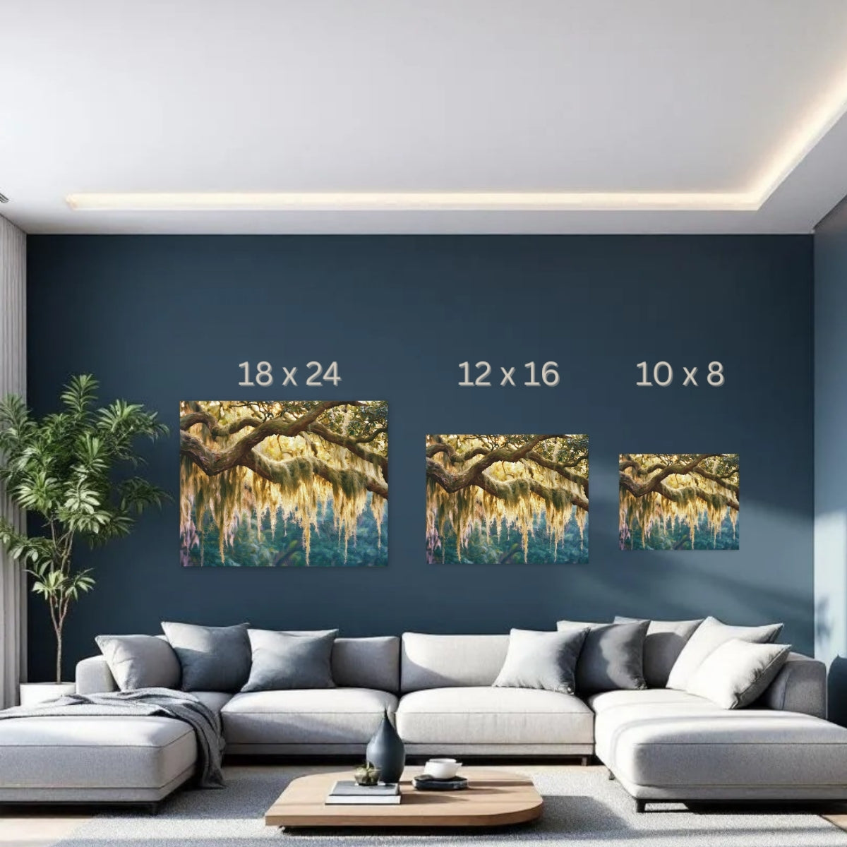 Savannah, Georgia | Live Oak Spanish Moss Savannah | Original Series Gallery Canvas detail