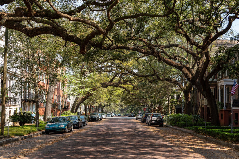 Savannah Historic District, Georgia visual study 02