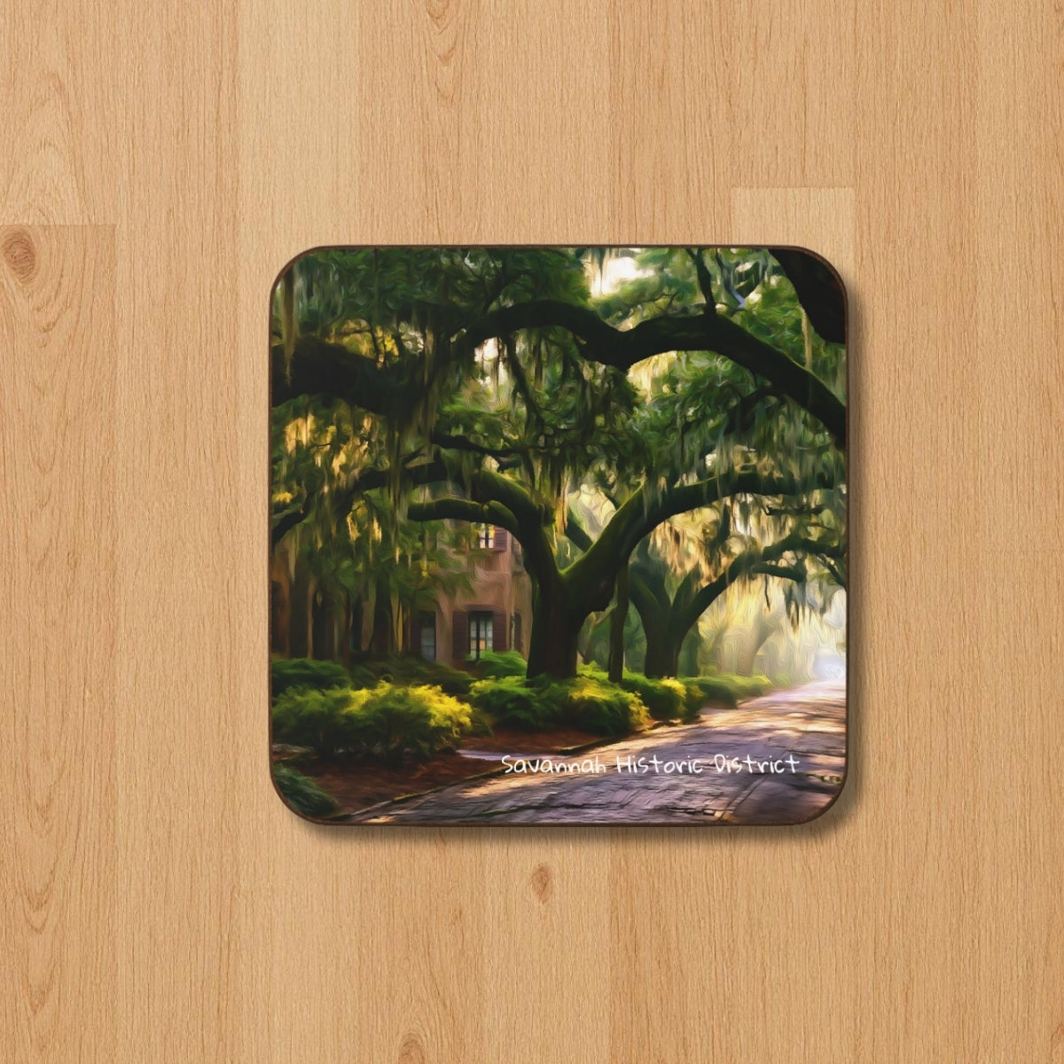 Live Oak Canopy Avenue — Savannah Historic District, Georgia, study 1