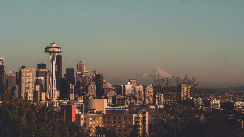 Seattle, Washington study No. 01