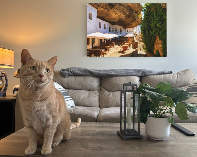Cave Street Restaurant Terrace — Setenil de las Bodegas, Spain, view 2
