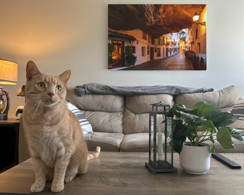Cave Street Wine Barrels — Setenil de las Bodegas, Spain, view 2