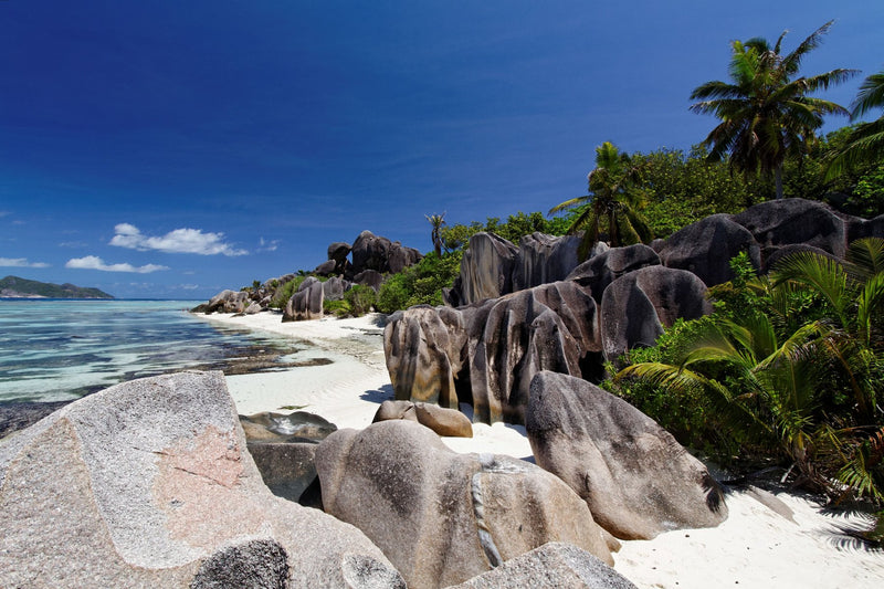 Seychelles study No. 01