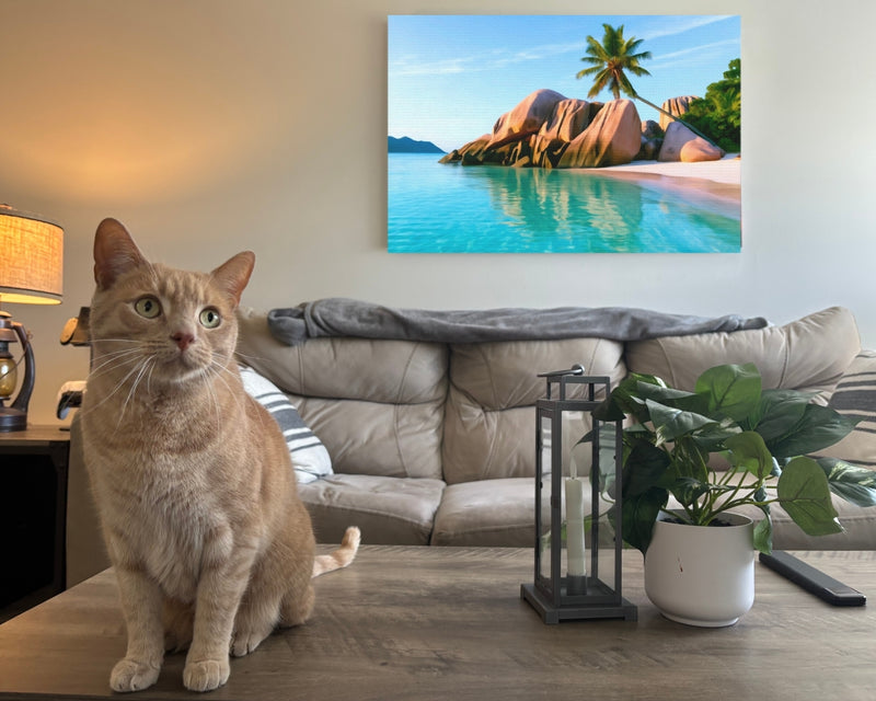 Anse Source Argent Beach — Seychelles, view 2