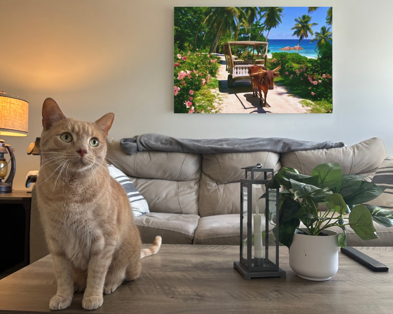 La Digue Ox Cart Path — Seychelles, view 2