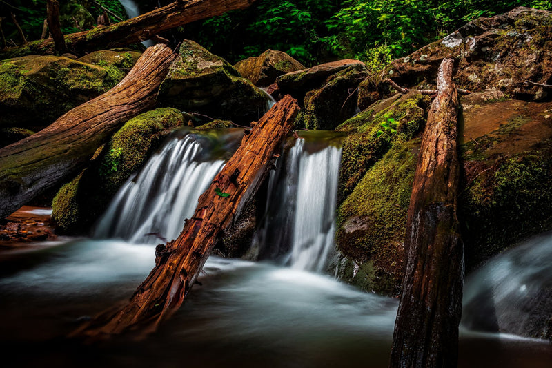 Shenandoah National Park, Virginia study No. 01