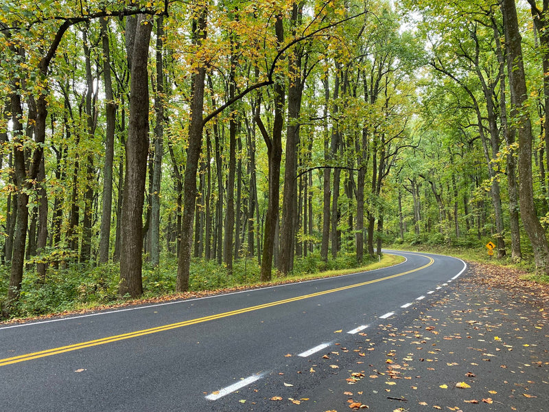 Shenandoah National Park, Virginia study No. 02