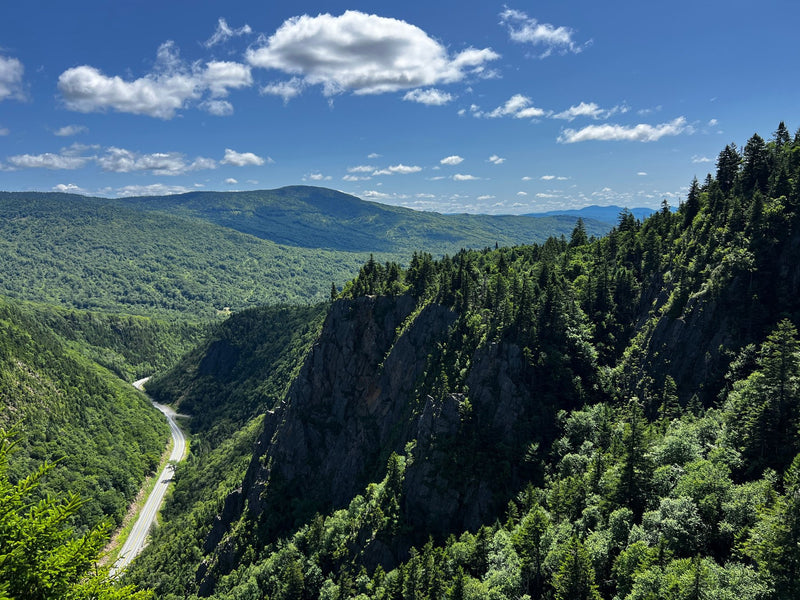 Shenandoah National Park, Virginia study No. 03
