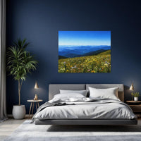 Blue Ridge Wildflower Meadows — study 2 thumbnail