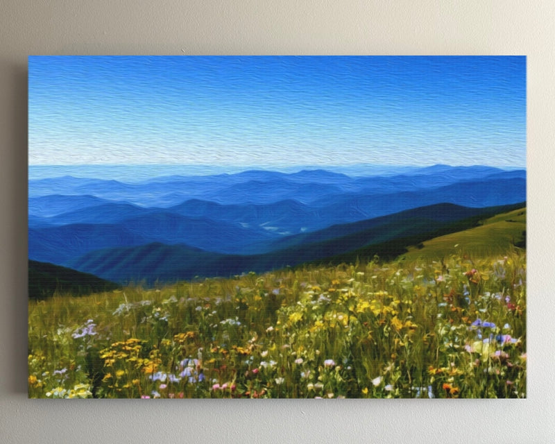 Blue Ridge Wildflower Meadows — Shenandoah National Park, Virginia