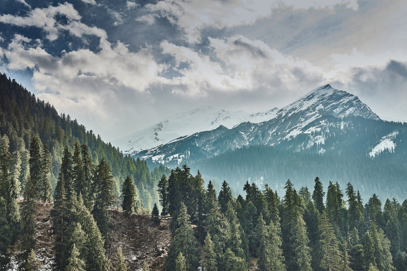 Shimla, India study No. 02
