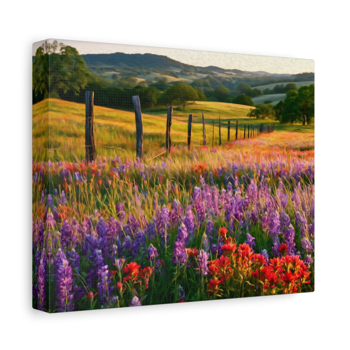 Texas Hill Country Wildflowers — Fredericksburg, Texas, canvas side view