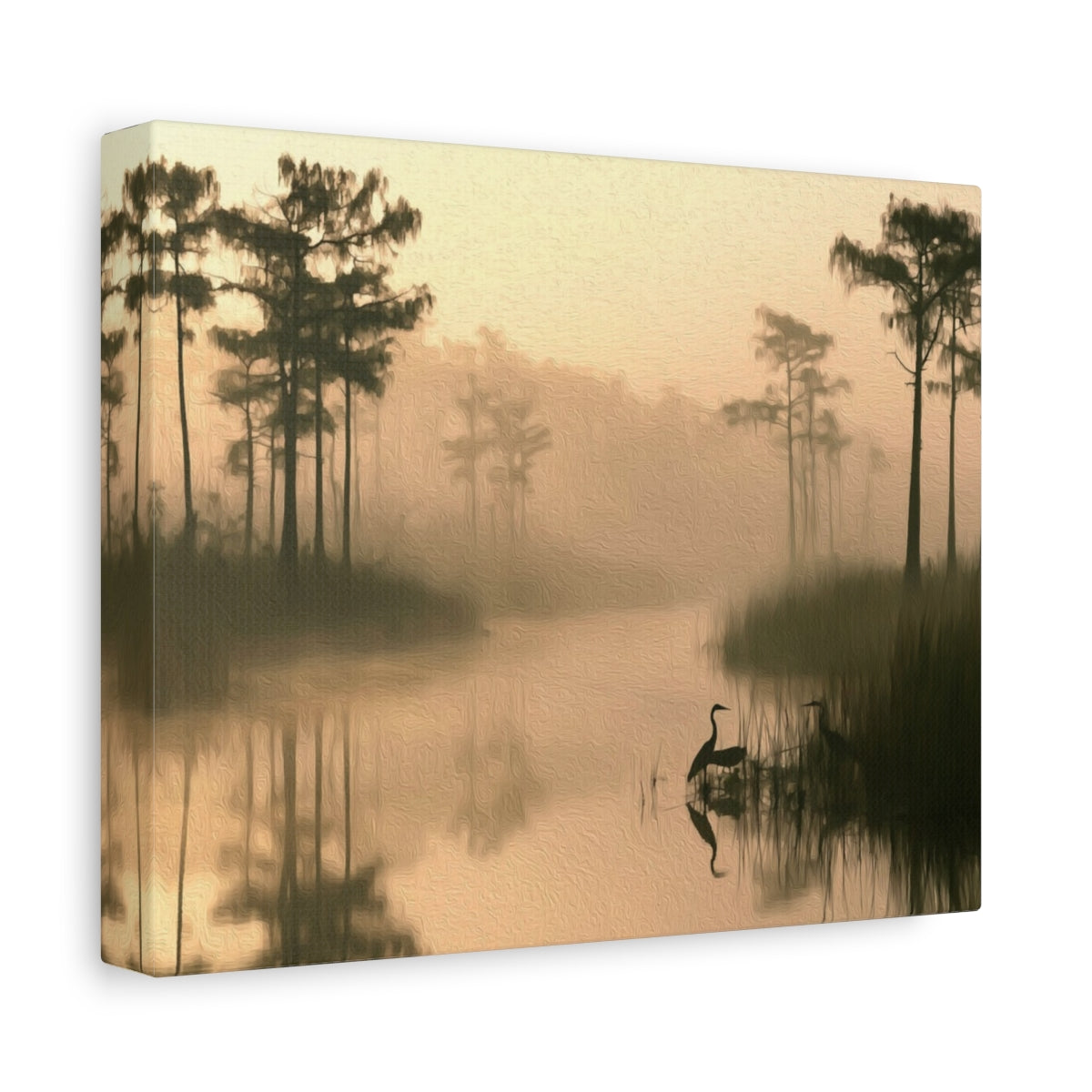 Cypress Swamp Morning Mist — Everglades National Park, Florida, canvas side view