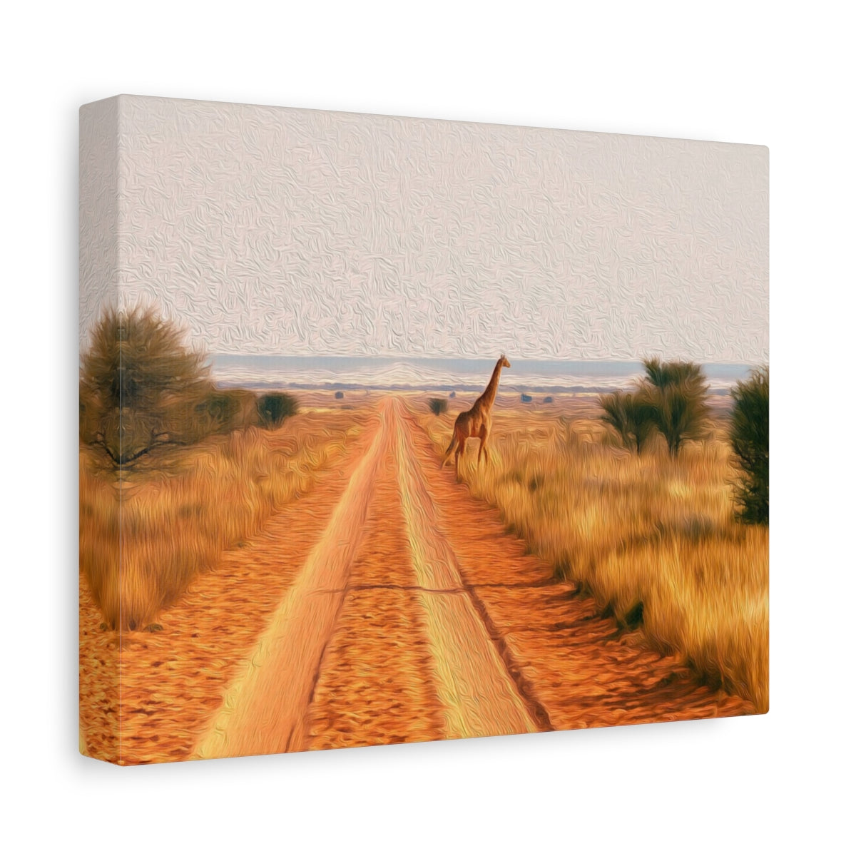Kalahari Dirt Road Giraffe — Maun, Botswana, canvas side view