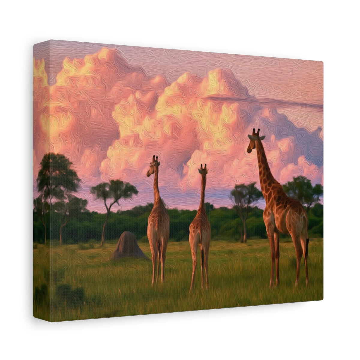 Okavango Delta Giraffe Savanna — Okavango Delta, Botswana, canvas side view