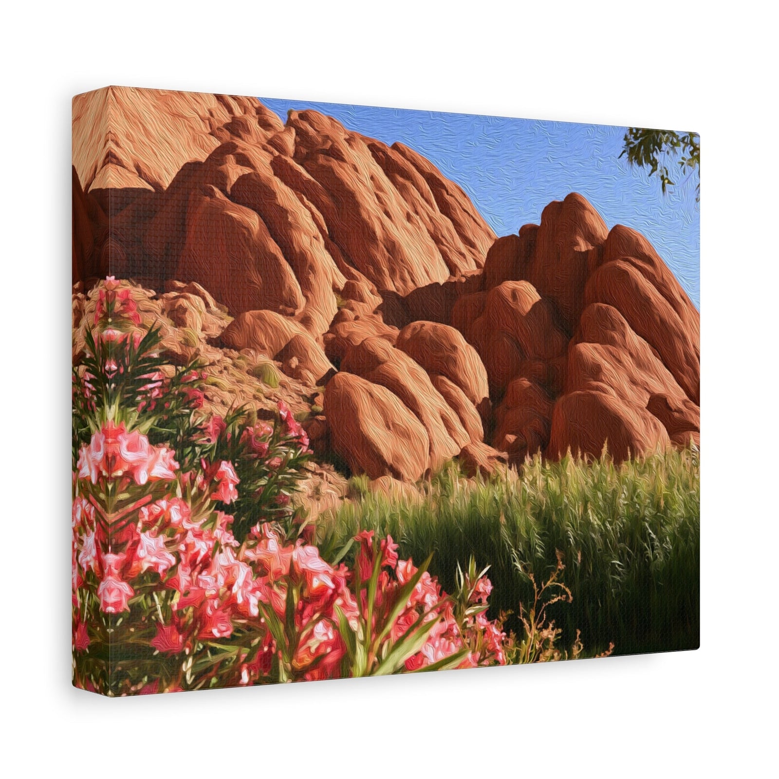 Dades Gorge Red Rocks — Dades Gorge, Morocco, canvas side view