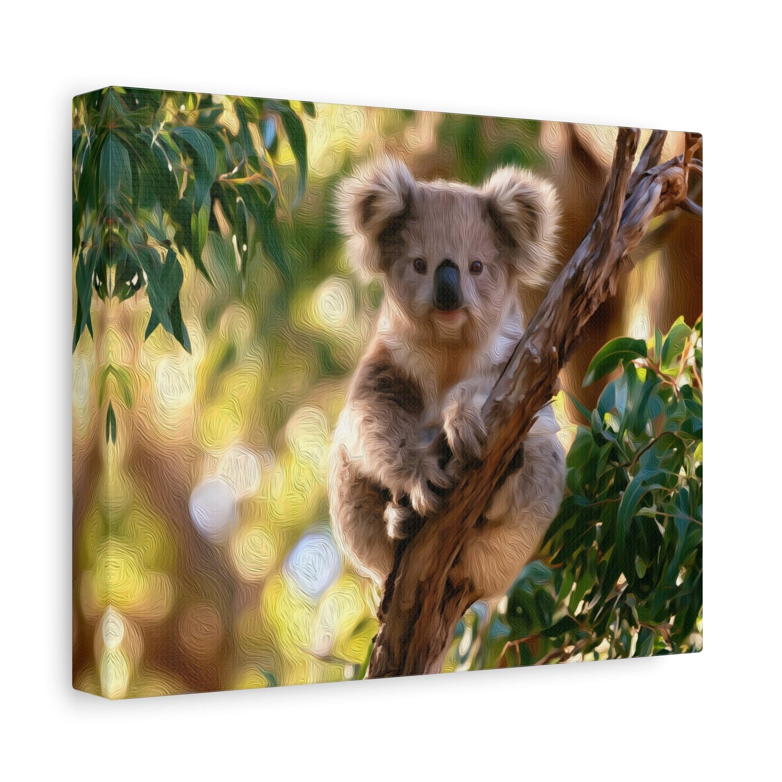 Koala In Eucalyptus Tree — Kangaroo Island, Australia, canvas side view