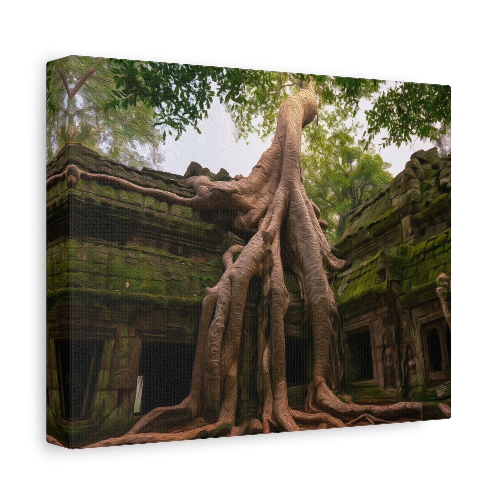 Ta Prohm Temple Ruins — Siem Reap, Cambodia, canvas side view