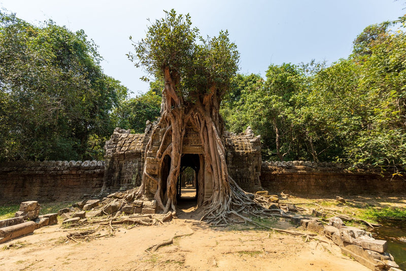 Siem Reap, Cambodia visual study 02