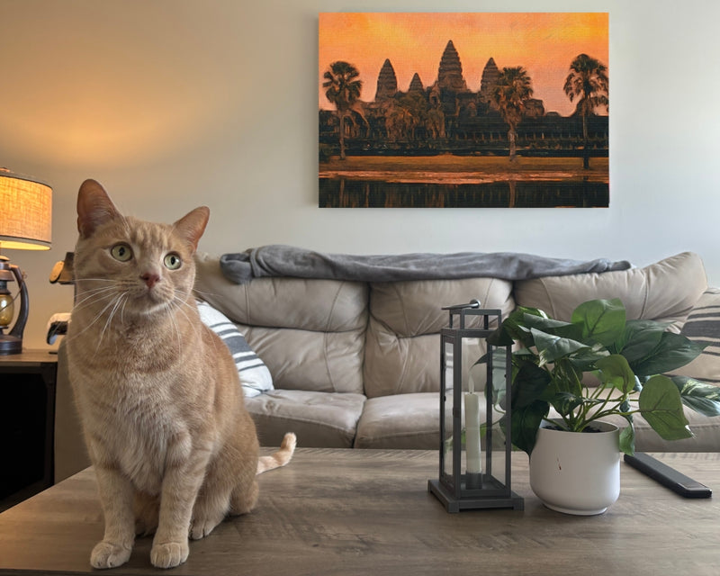 Angkor Wat Sunrise Reflection — Angkor Wat, Cambodia, view 2