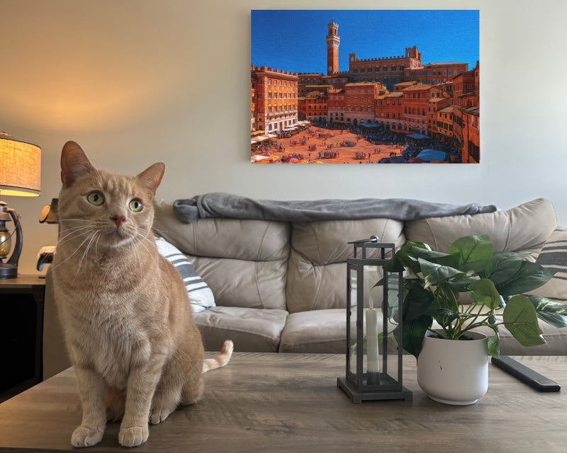 Piazza del Campo Market — Siena, Italy, view 2