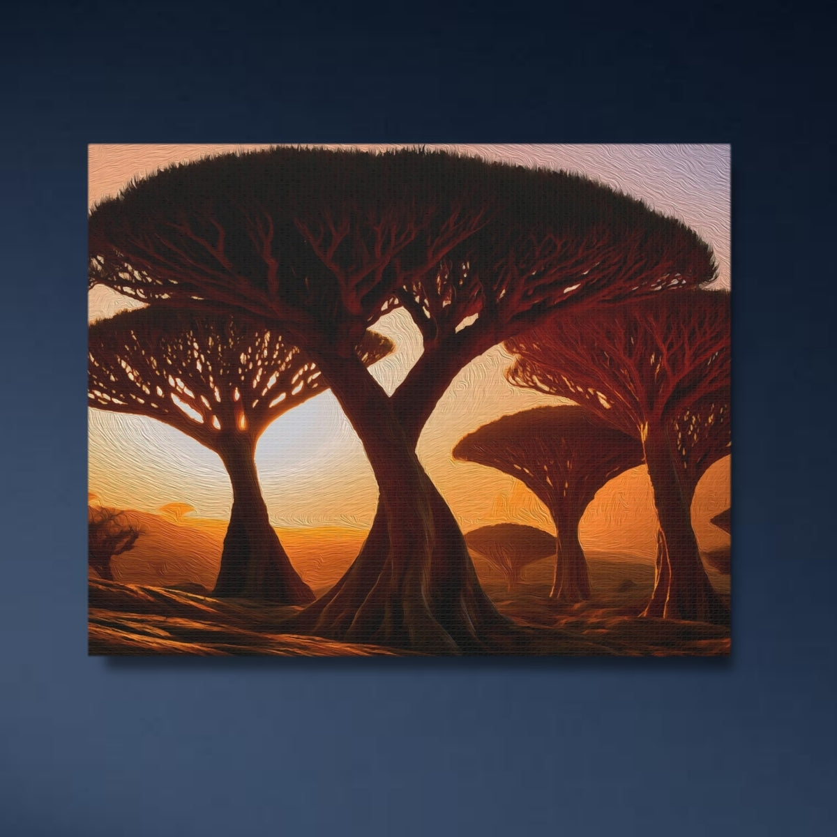 Socotra Island, Yemen Study No. 4