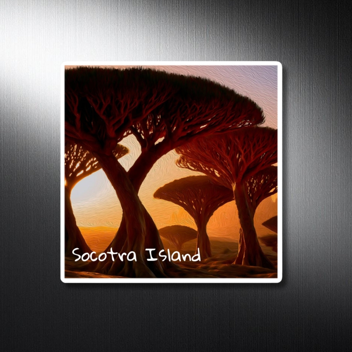 Dragon Blood Tree Forest — Socotra Island, Yemen, study 1