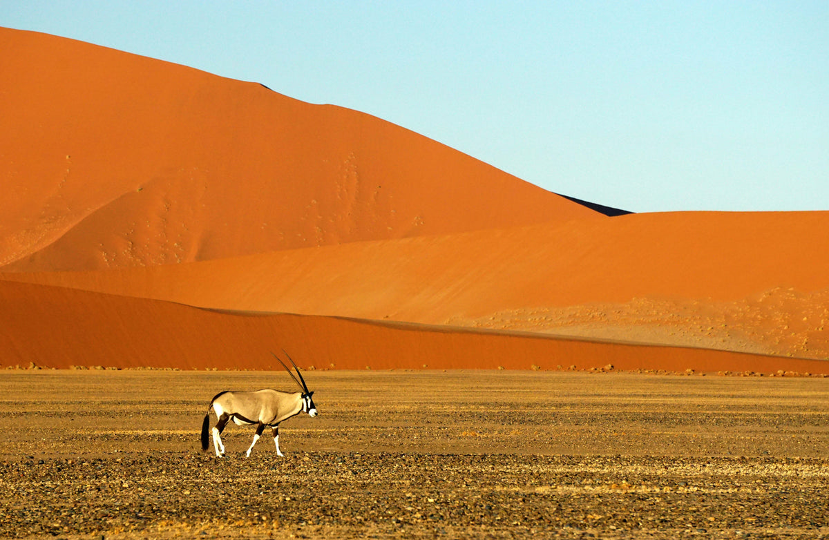 Sossusvlei, Namibia study No. 01