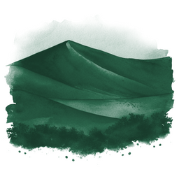 Sossusvlei canvas wall art